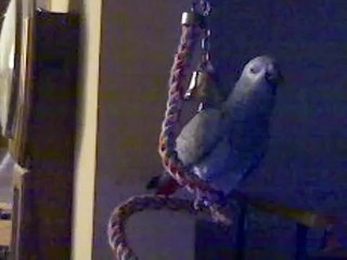 Knock-Knock....Who's There? Gabrielle Hall....