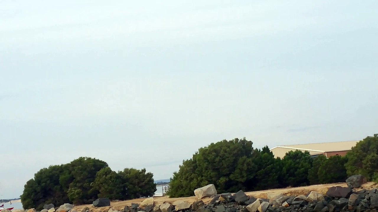 Boats Roaming In