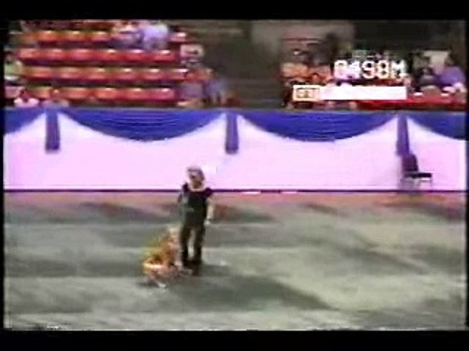 Smart Dog ?syndication=228326