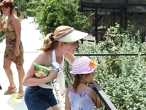 Все рассказы о Крыме 03/04 [2008, DVDRip]