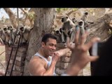 Salman Khan Spotted Feeding Monkeys While Shooting