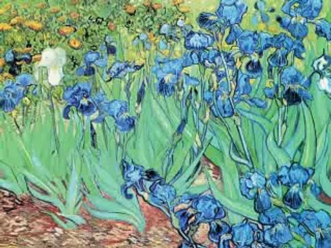 Vincent (Starry, Starry night) with Van Gogh's paintings