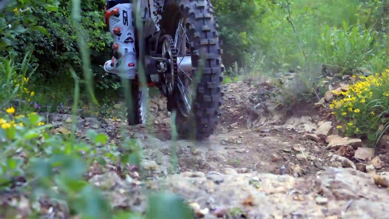 Trèfle Lozérien AMV 2015 - J1