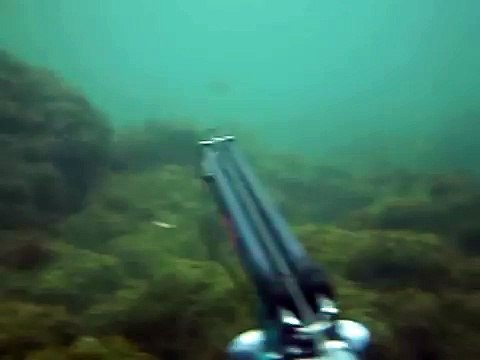 pesca sub basso fondo cagliari orata