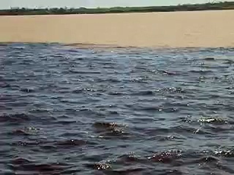 Encontro das Águas - Rio Negro e Solimões - Manaus - Amazonas - Brasil