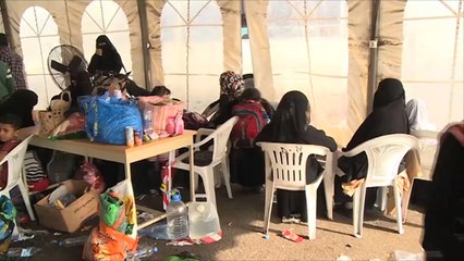 وصول عشرات اللاجئين اليمنيين إلى ميناء جيبوتي