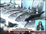 TV Patrol Palawan - May 22, 2015