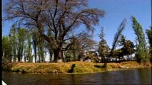 Xochimilco, la isla de las muñecas