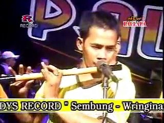 Selangkung Ronglangkung Devi Aldiva New Pallapa Terbaru 2015 Dangdut Koplo