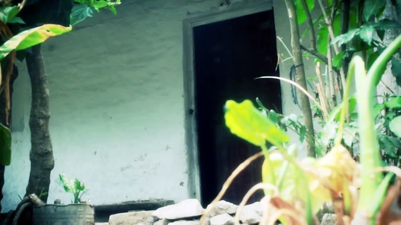 EL CADEJO! Teaser de La Pelicula Cuentos y Leyendas de Honduras