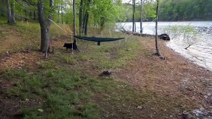 Canoe Camping With My Dog