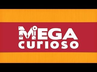 Mega Curioso: As curiosidades mais interessantes estão aqui