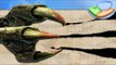 9 jogos imperdíveis de dinossauros [Dicas] - Baixaki