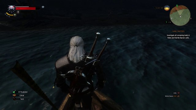 The Witcher 3: Wild Hunt (WTF)