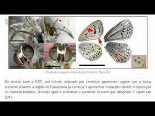 [Melhores da Semana] - 17-08-2012 - Tecmundo