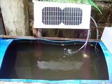 Solar Powered Outdoor Fish Tank Water Pump - (Tilapia in a Drum - Solar Powered Aquaponics)