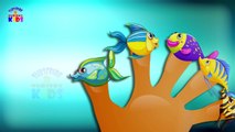 Sea Animals Latest Finger Family Song - Finger Family - Nursery Rhymes For KidsChildrens - Rhymes Videos