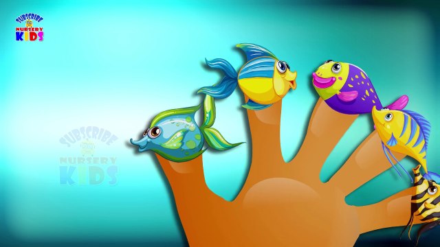 Sea Animals Latest Finger Family Song - Finger Family - Nursery Rhymes For KidsChildrens - Rhymes Videos