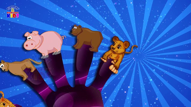 Wild Animals Finger Family Song  Daddy Finger Nursery Rhyme  Animal Songs For ChildrenKids