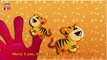 Animals Finger Family Song - Nursery Rhymes For KidsChildrens - Rhymes Videos - Animals Rhymes