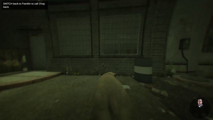 Grand Theft Auto V Chop