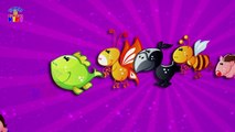 Animals Finger Family -  Finger Family Song - Animation Nursery Rhymes & Songs For ChildrensKids - Videos
