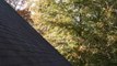 Clogged Gutters: How to Clean Gutters