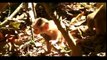 New Baby Macaque Video.wmv