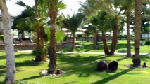 4* Hotel Beach Albatros Resort Sharm el Sheikh in Egypt