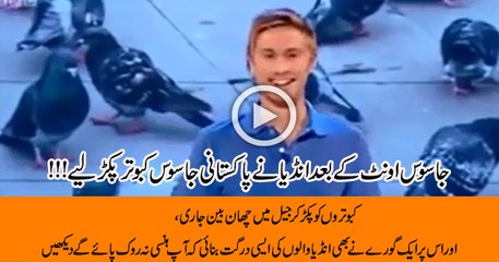 See how This Guy is making fun of Indians for holding a pigeon in jail