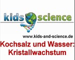 Experiment: Kristallwachstum mit Kochsalz und Wasser