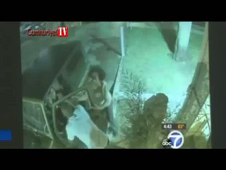 Sokak kedilerini besleyen kadına öldüresiye dayak