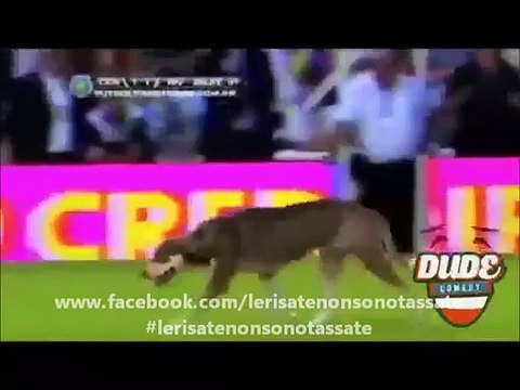 L'unico ultrà che puo' permettersi di fare tutto...