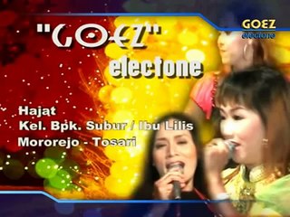Organ Tunggal - Kucing Garong - Titin tiantika.flv