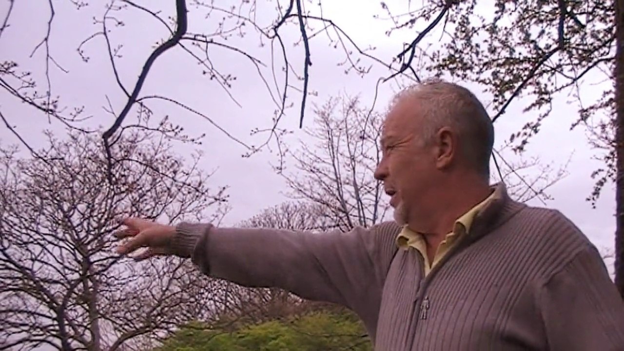 Tuebrook Explored Presents: Newsham Park (Part 2)