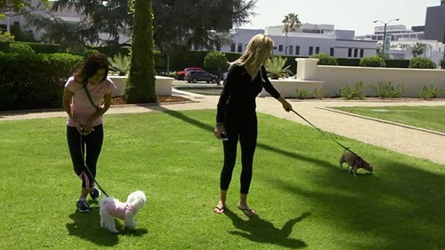 Rich Kids of Beverly Hills Season 3 Episode 1 - #RichKids Full Episode Links