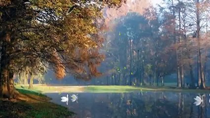 Joe Dassin -- Y si no existieras(1,976)