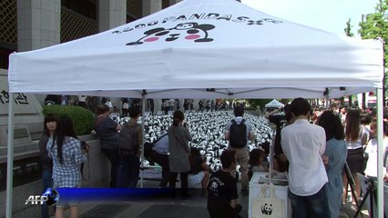 1,600 papier mache pandas land in Seoul