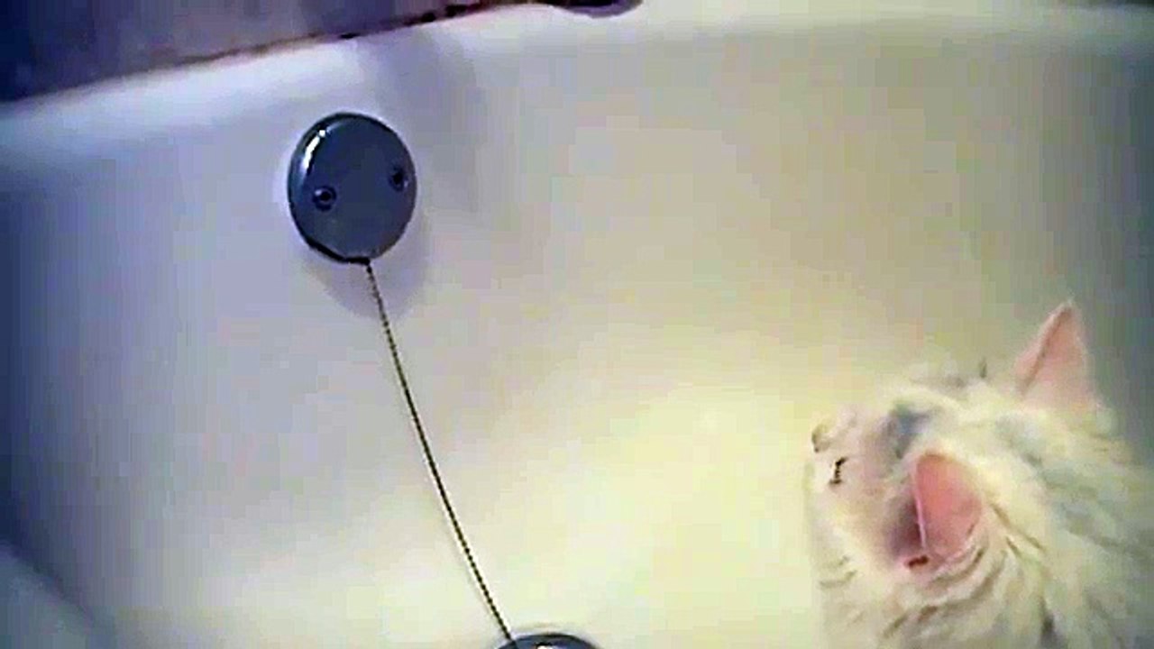 ?*Wet Pussy Action!