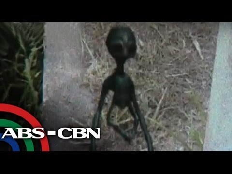 Real or fake? Alien allegedly photographed in Laguna