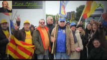 Movimento dei Forconi: la rivolta del Sud - Intervista a Pino Aprile