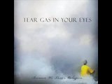 Tear gas in your eyes (parody of Smoke gets in your eyes)