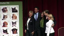 Ellen Calls on Stamp Collectors to Lick Pet Overpopulation