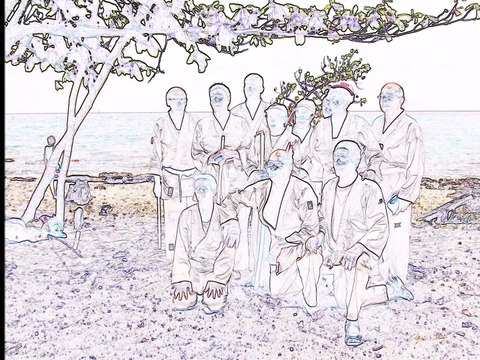 Stage d'Aïkido à Fonds Larion, organisé par la Ligue de la Martinique le 17 mai 2015, animé par Raymond DUFRÉNOT, 6ème Dan. Les seniors sont en action, belle prestation et félicitations à tous.