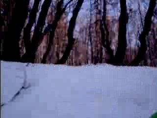 160307CROIDUNIVOLET 019