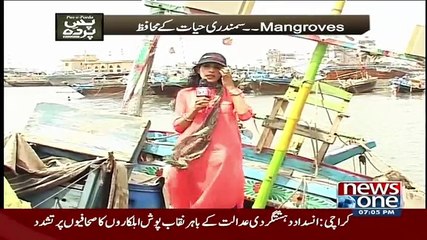 Pas e Parda On Newsone – 23rd May 2015