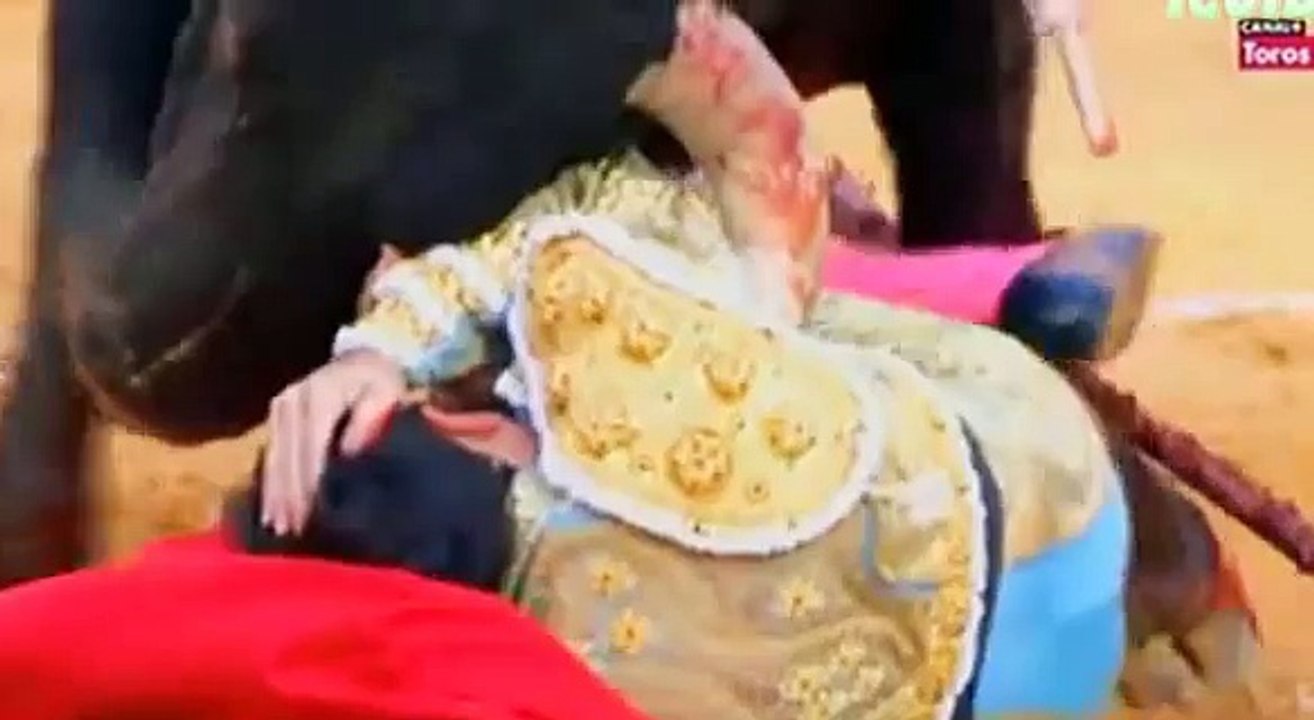 Cogida de Enrique Ponce en Fallas 2014