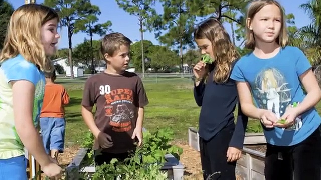 One Million Hours of Service - Introductory Video