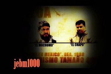 Mario El Cachorro Delgado-Mi General Coronel ( Recordando a Nacho Coronel)
