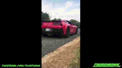 C7 Corvette Z06 CRASHES INTO A TREE!